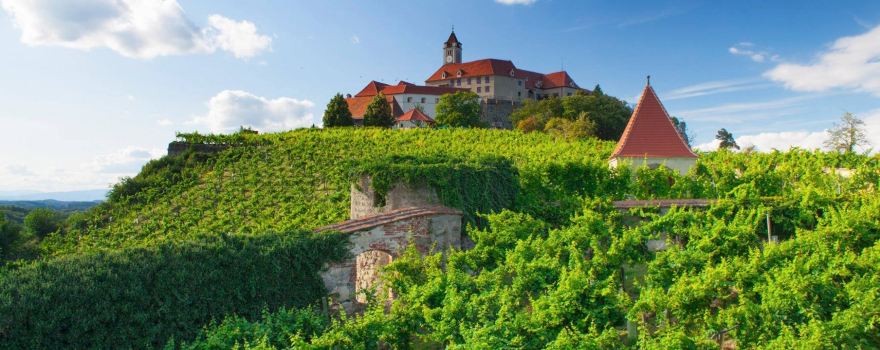 Burg Riegersburg