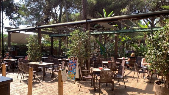 AVENTURA AMAZONIA MARBELLA. Parque de multiaventura y tirolinas para adultos y niños. Despedidas, Cumples y Teambuilding.