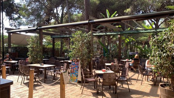 AVENTURA AMAZONIA MARBELLA. Parque de multiaventura y tirolinas para adultos y niños. Despedidas, Cumples y Teambuilding.