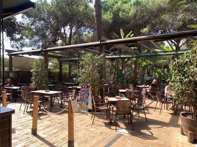 AVENTURA AMAZONIA MARBELLA. Parque de multiaventura y tirolinas para adultos y niños. Despedidas, Cumples y Teambuilding.