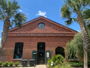 Georgia Sea Turtle Center