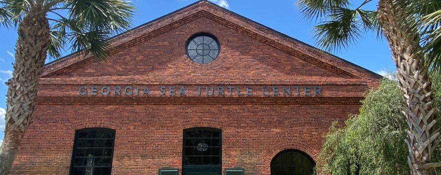 Georgia Sea Turtle Center