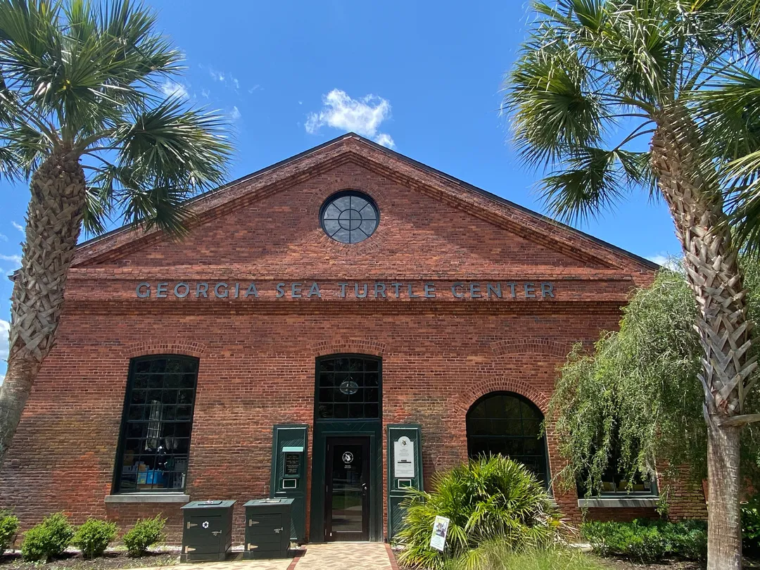 1_Georgia Sea Turtle Center