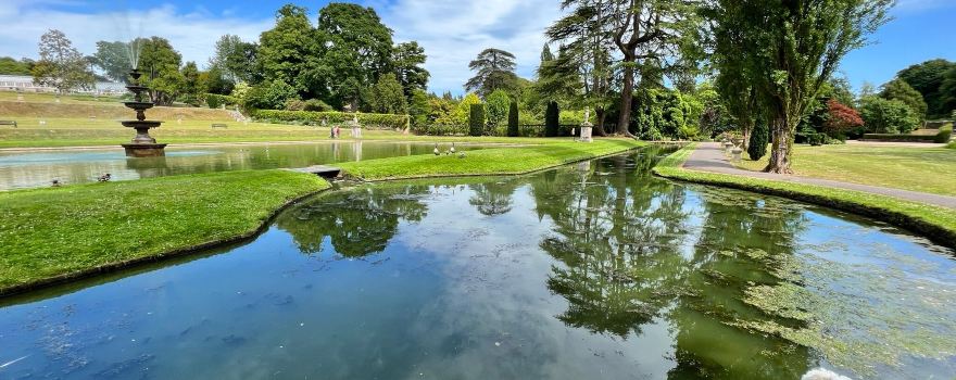 Bicton