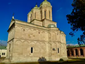 Manăstirea Dealu