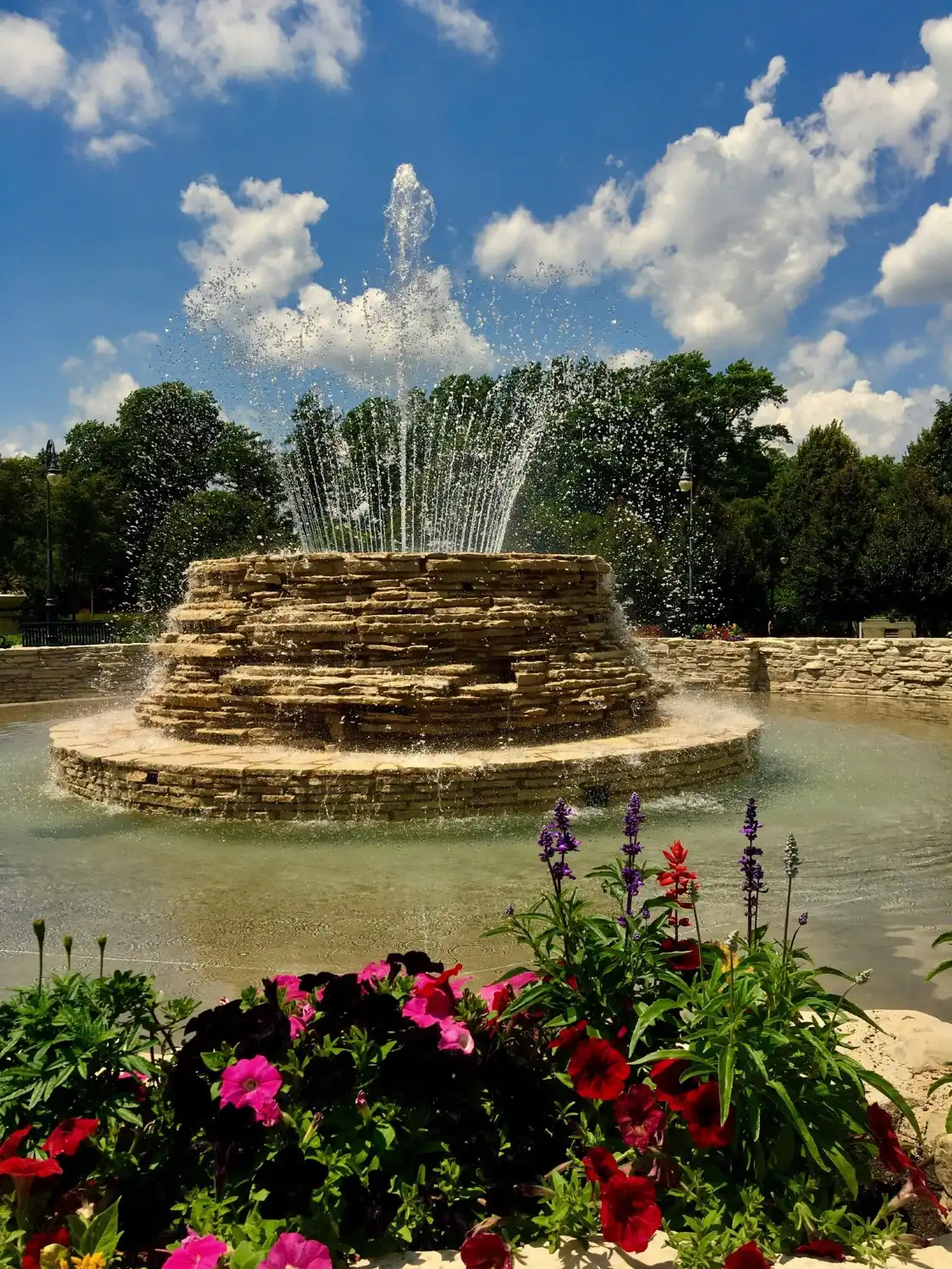 Hotels near Vander Veer Botanical Park