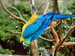 Tierpark Herborn