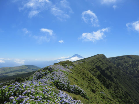 Caldeira