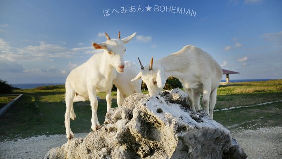 Taketomi