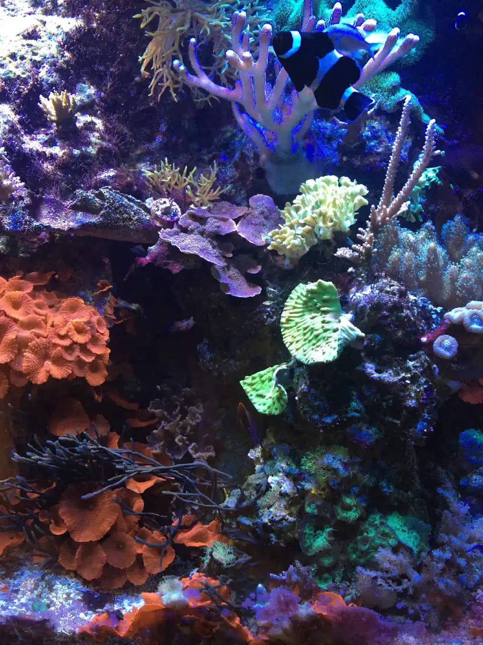 5_Sciencenter