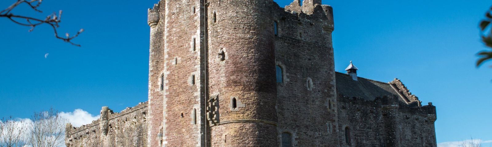 도우너데이 투어