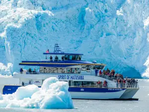 Major Marine Tours