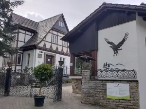 Adlerwarte Berlebeck
