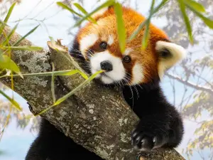 Roger Williams Park Zoo