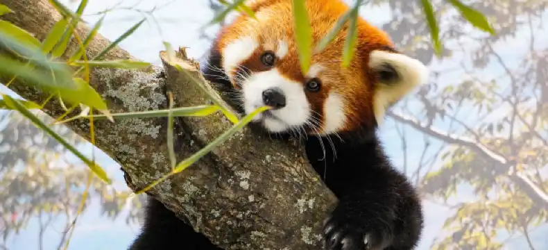 Hotels in Providence