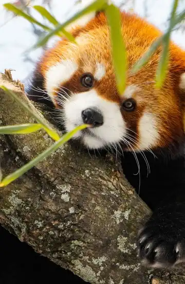 プロビデンスのホテル