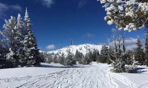 Apex Mountain Resort