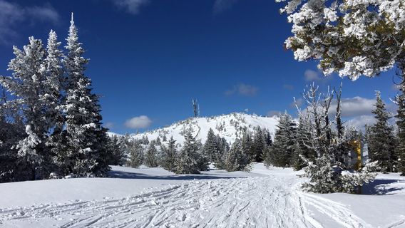 Apex Mountain Resort