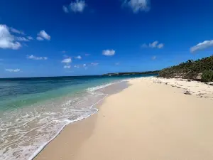 refuge faunique national de Vieques