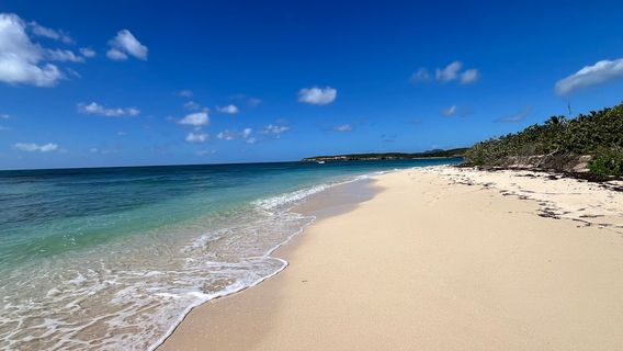 Vieques National Wildlife Refuge