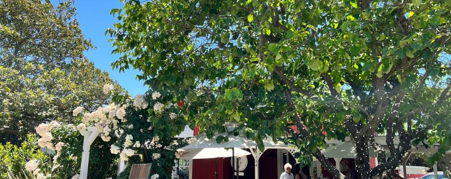 Stolpman Vineyards - Los Olivos Tasting Room