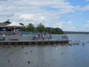 Linesville Spillway