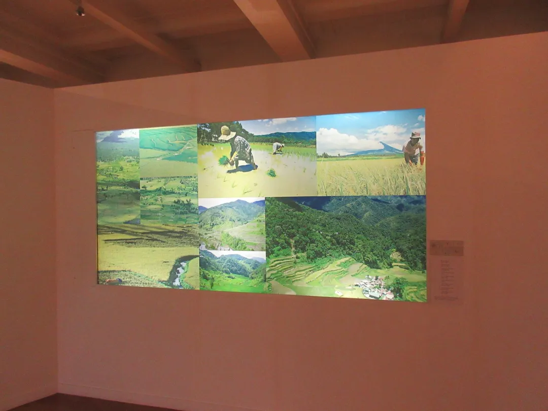 3_National Museum of Fine Arts