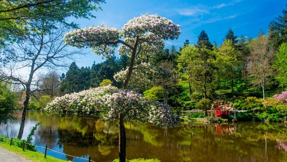 Parc Oriental de Maulevrier