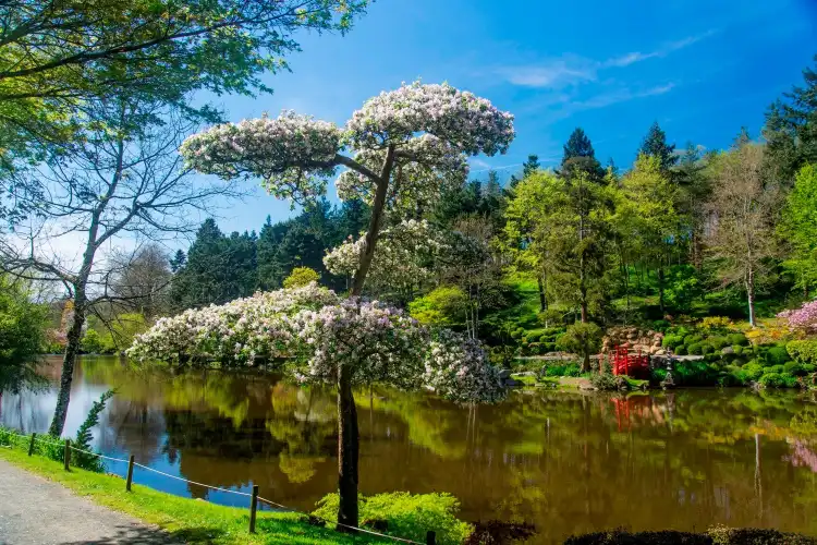 Hotels in Maulévrier