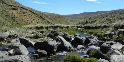 Patagonia Profunda - Safari Experience