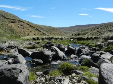 Patagonia Profunda - Safari Experience