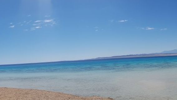 Sharm El Luli