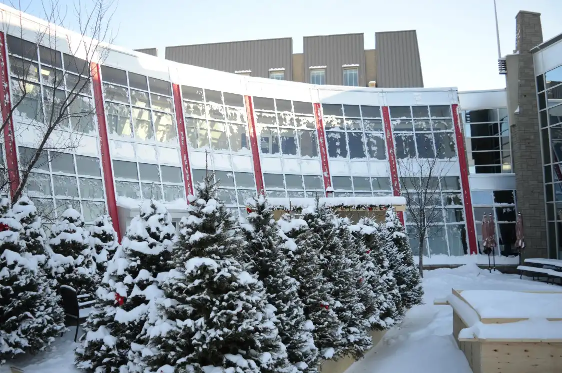 Hotel in zona La Cité Francophone