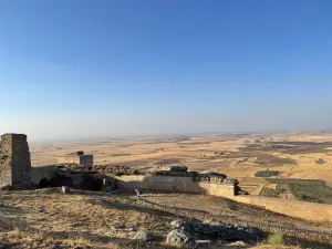 Alcazaba de Reina