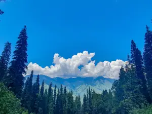 Govind Pashu Vihar National Park and Sanctuary