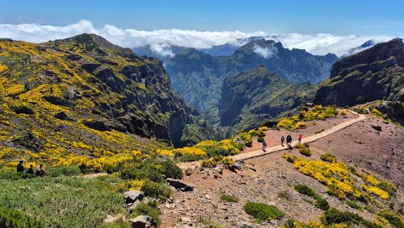 Pico do Arieiro