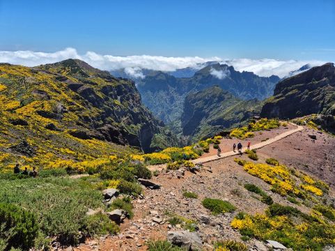 阿雷埃魯峰