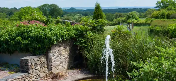 Hotels in Markfield