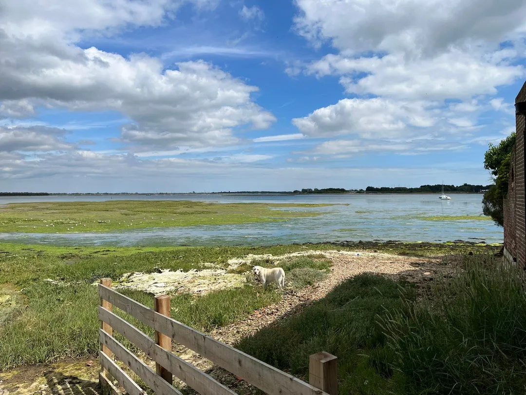 2_Langstone Harbour