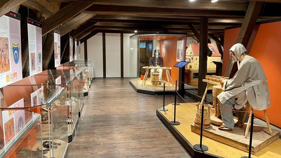 Kotnov Castle (Hrad Kotnov)