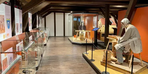 Kotnov Castle （Hrad Kotnov）