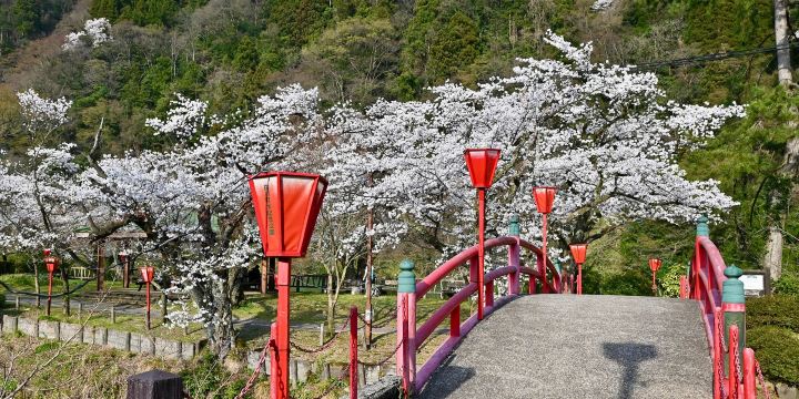 庄川水記念公園