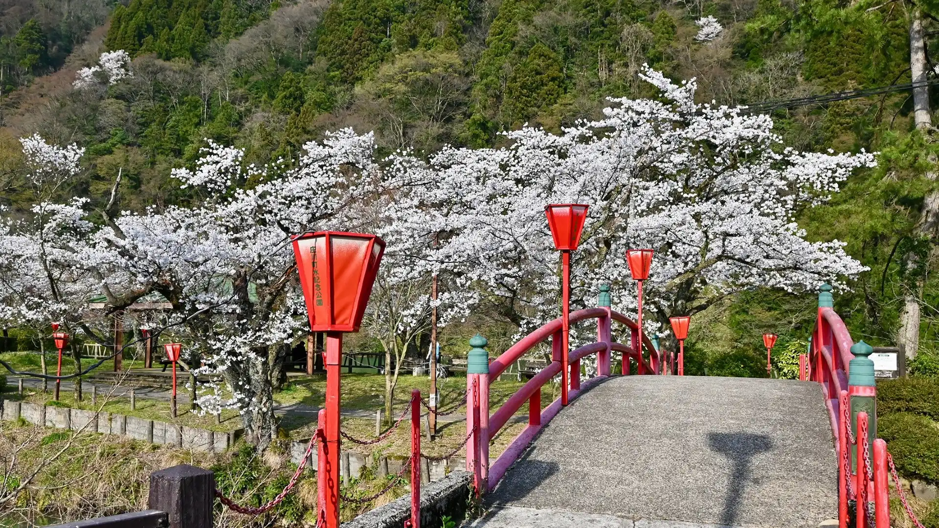 鄰近庄川水紀念公園的酒店