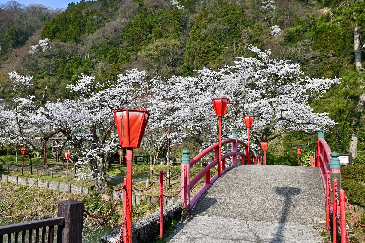 3_Shogawa Aqua Memorial Park