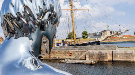 HE - Nordsjællands Small Havherre