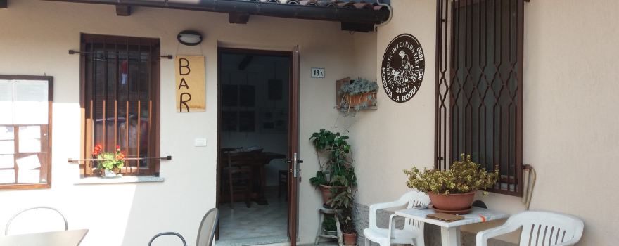 Universita Dei Cani Da Tartufo