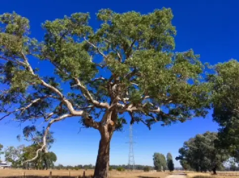 Hurdle Creek Still - Small Batch Gin Distillery