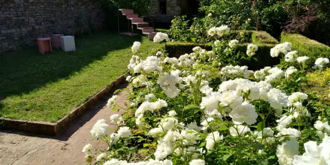 Bank Gallery Projects