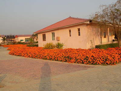 Patanjali Yogpeeth