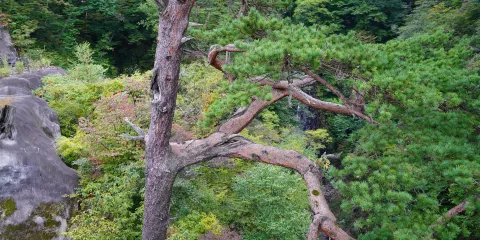 Fudo Falls